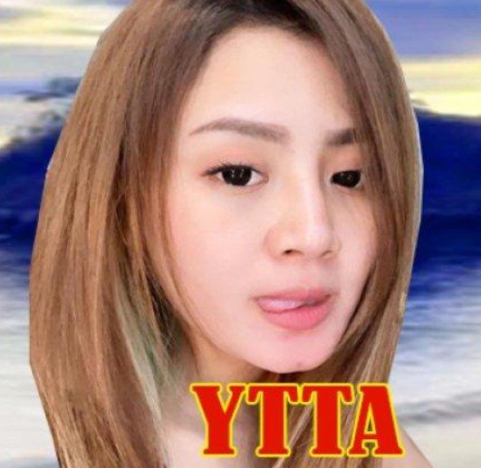 Arti YTTA di TikTok Arti YTTA di TikTok